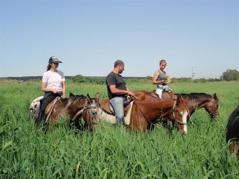 טיול סוסים בחוות עליזה